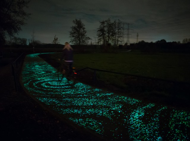 VanGoghRoosegaarde6